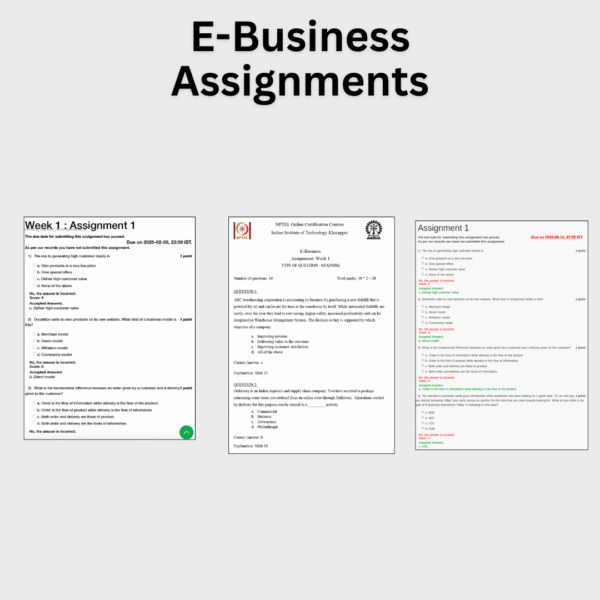 E-Business Assignments