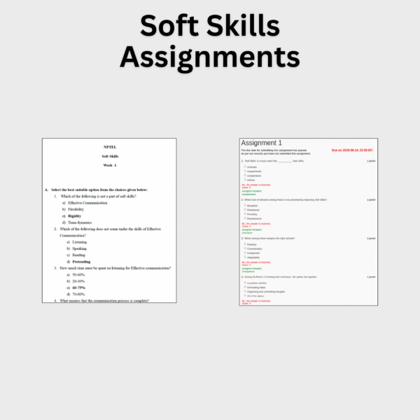 Soft Skills Assignments