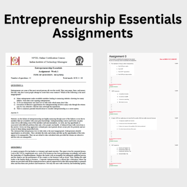 Entrepreneurship Essentials Assignments
