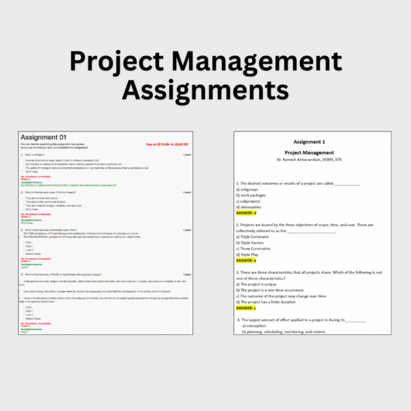 Project Management Assignments