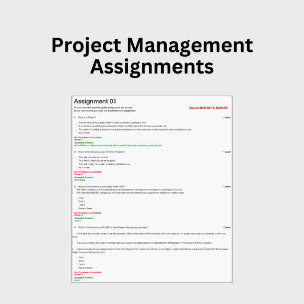 Project Management Assignments