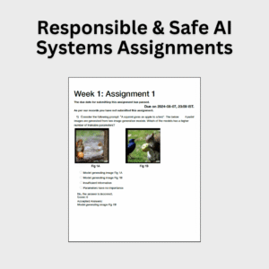 Responsible & Safe AI Systems Assignments