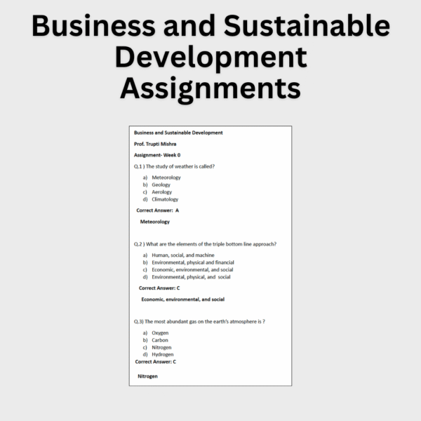 Business and Sustainable Development Assignments